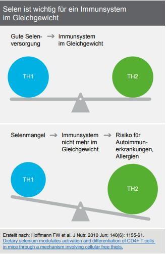 Selen für ein gesundes Immunsystem