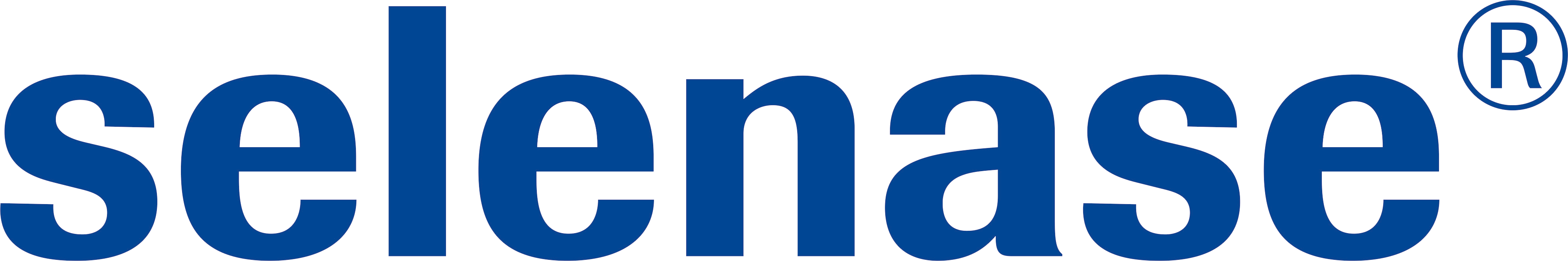 Das Bild zeigt das blaue selenase Logo.