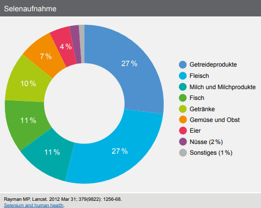 Schaubild: Über welche Lebensmittel unser Körper Selen aufnehmen kann