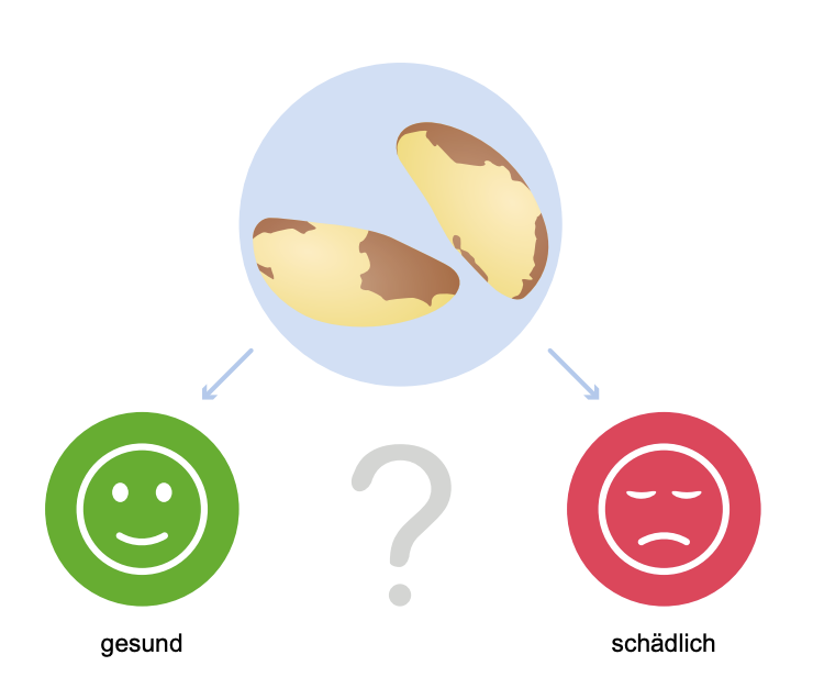 Paranüsse: Gesund oder schädlich?