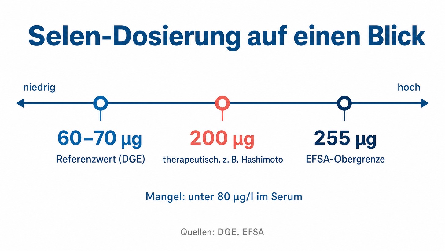 Infografik: Selen-Dosierung auf einen Blick – Referenzwert 60–70 µg, therapeutisch 200 µg, EFSA-Obergrenze 255 µg pro Tag