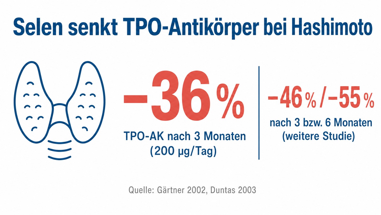 Infografik: Selen senkt TPO-Antikörper bei Hashimoto um 36 Prozent nach drei Monaten (Gärtner 2002, Duntas 2003)