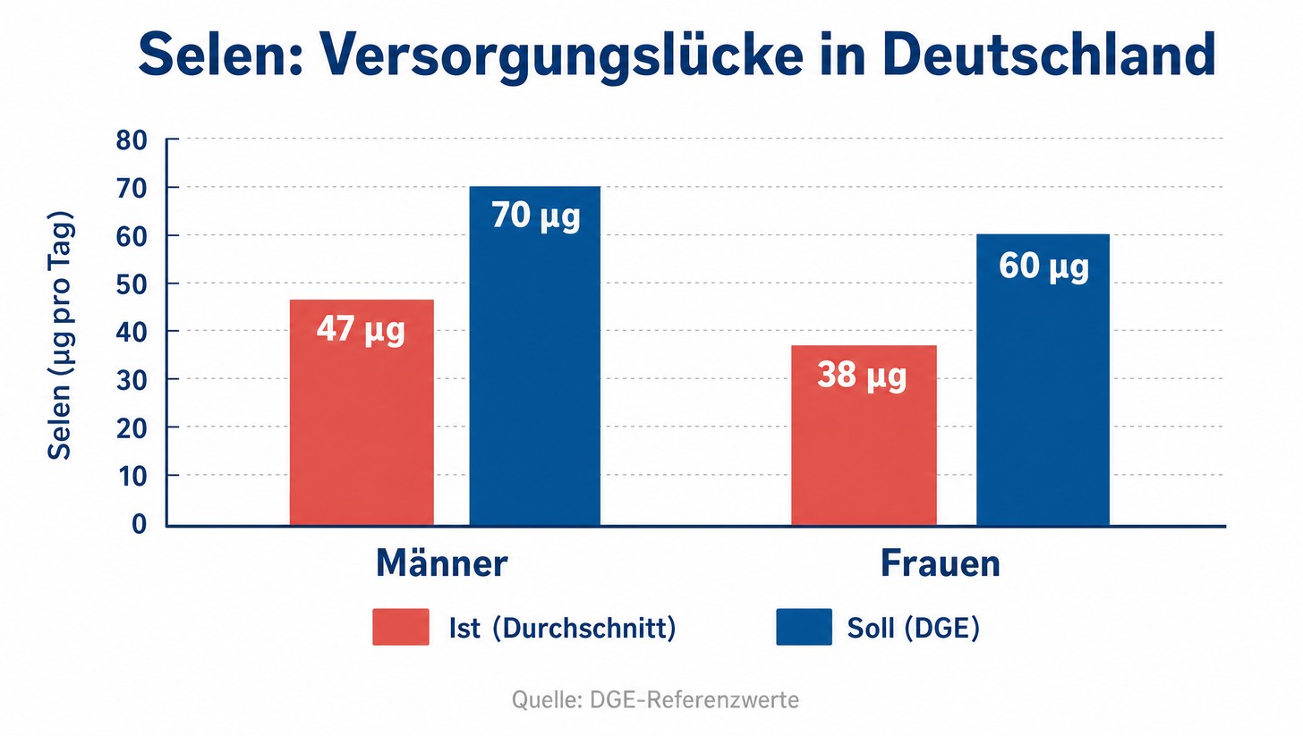 Infografik: Selen-Versorgungslücke – Männer nehmen im Schnitt 47 µg statt 70 µg, Frauen 38 µg statt 60 µg pro Tag auf